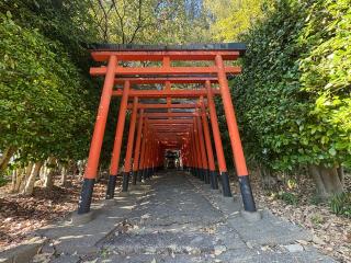 初吉稲荷社の参拝記録(ととるしさん)