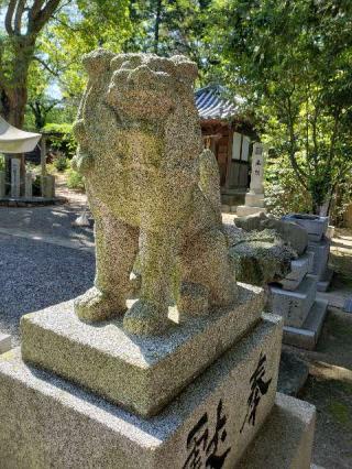 老松神社の参拝記録(風祭すぅさん)
