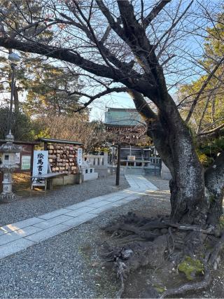 日枝天満宮（沼津日枝神社末社）の参拝記録(⛩️🐍🐢まめ🐢🐍⛩️さん)