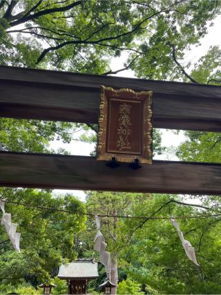 宗像神社（氷川神社摂社）の参拝記録(⛩️🎠🐢まめ🐢🎠⛩️さん)