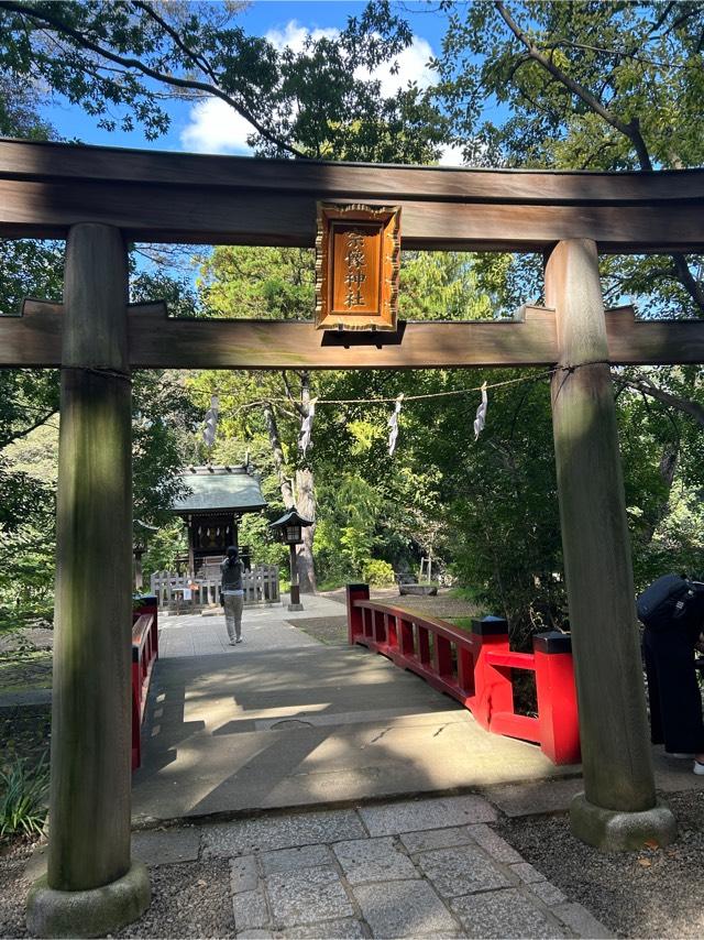 宗像神社（氷川神社摂社）の参拝記録9