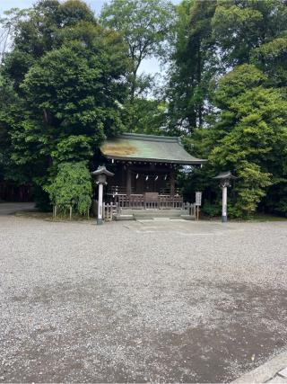 松尾神社(氷川神社末社)の参拝記録(⛩️🐍🐢まめ🐢🐍⛩️さん)