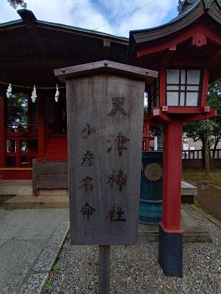 天津神社(氷川神社摂社)の参拝記録(不動明王さん)