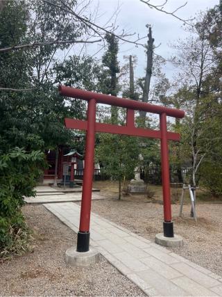 天津神社(氷川神社摂社)の参拝記録(⛩️🐍🐢まめ🐢🐍⛩️さん)