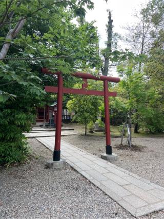 天津神社(氷川神社摂社)の参拝記録(⛩️🐍🐢まめ🐢🐍⛩️さん)