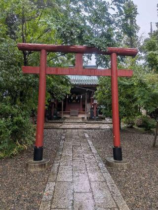 天津神社(氷川神社摂社)の参拝記録(はくすみさん)