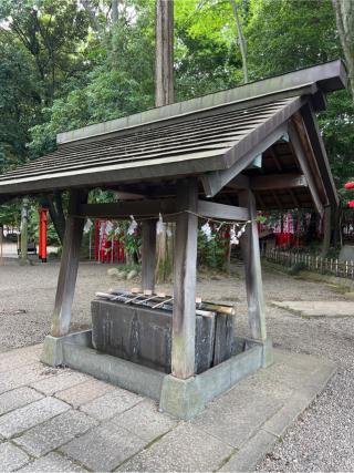 氷川稲荷神社(氷川神社末社)の参拝記録(⛩️🎠🐢まめ🐢🎠⛩️さん)
