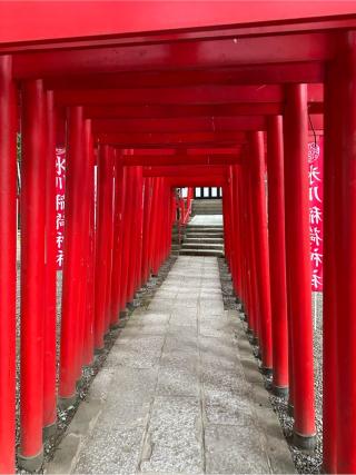 氷川稲荷神社(氷川神社末社)の参拝記録(清正さん)
