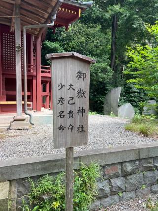 御嶽神社(氷川神社末社)の参拝記録(⛩️🐍🐢まめ🐢🐍⛩️さん)