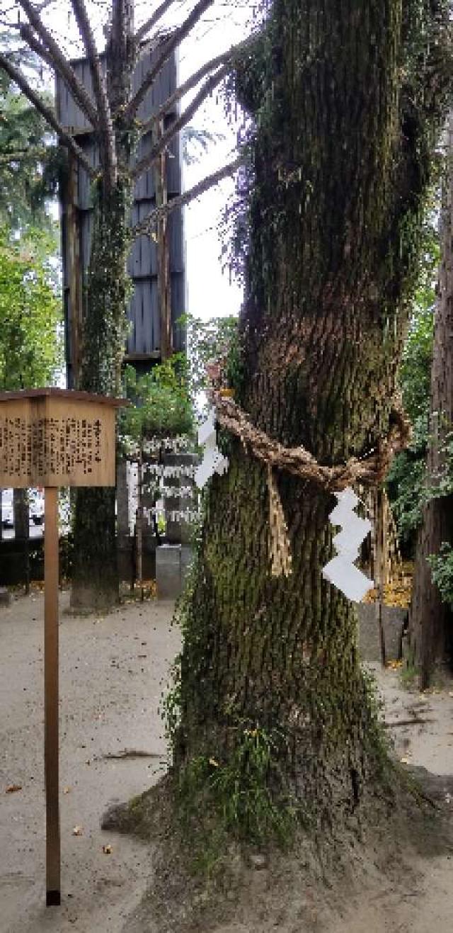 広島県広島市中区本川町3-3-2 そらさや恵美須神社の写真4