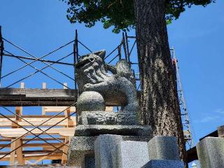 井口大歳神社の参拝記録(飛成さん)