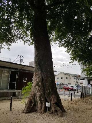 新庄天王神社(新庄之宮神社 境内社)の参拝記録(さすらいきゃんぱぁさん)