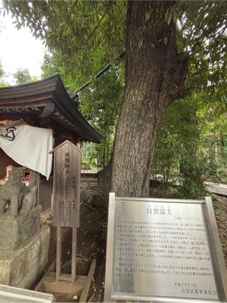 目黒富士浅間神社(上目黒氷川神社末社)の参拝記録(マ　ノ　さん)