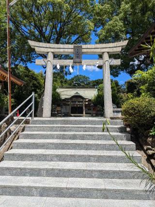 天疫神社の参拝記録(こまいぬおさん)
