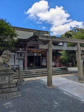 天疫神社の参拝記録(こまいぬおさん)