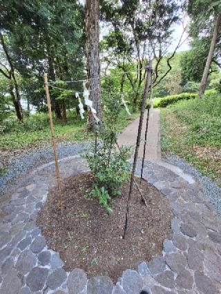 白龍神社の参拝記録(まーさんさん)