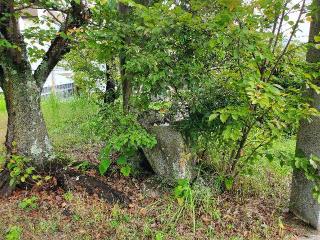 地御前・大歳神社の参拝記録(飛成さん)