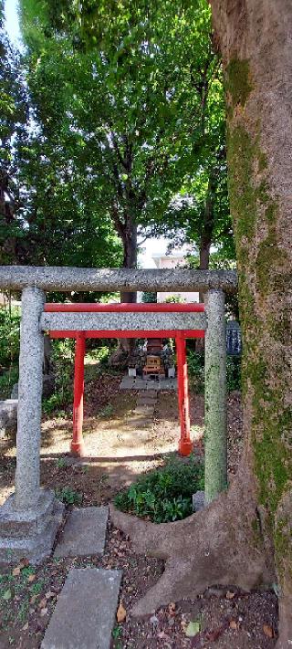 石神井稲荷神社の参拝記録(まーぼーさん)