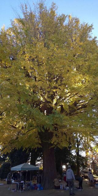 国分寺の参拝記録(パスカルさん)