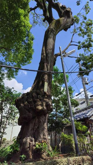 成宗須賀神社の参拝記録(オトギリルさん)