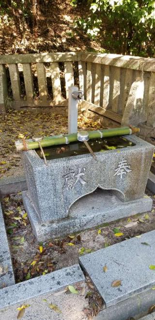 男崎神社の参拝記録(さすらいきゃんぱぁさん)
