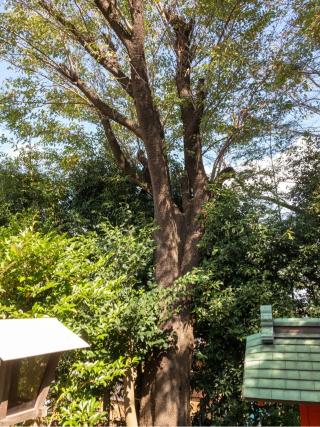 三峯神社の参拝記録(だぁくさん)