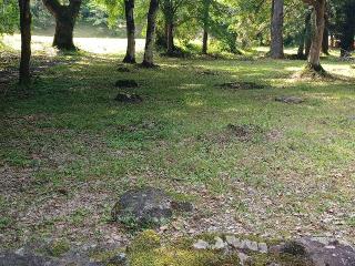 宇佐宮弥勒寺跡（宇佐神宮境内）の参拝記録(銀玉鉄砲さん)