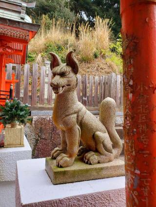 大学稲荷神社 (足立山妙見宮内)の参拝記録(風祭すぅさん)