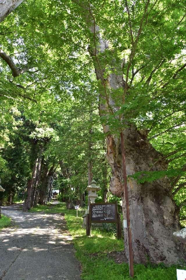 新海三社神社の参拝記録3