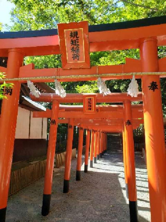 規矩稲荷神社の参拝記録6