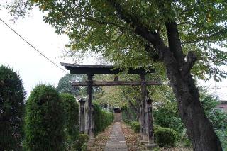 鶴ヶ丸八幡神社の参拝記録(thonglor17さん)
