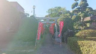 鶴ヶ丸八幡神社の参拝記録(ロビンさん)