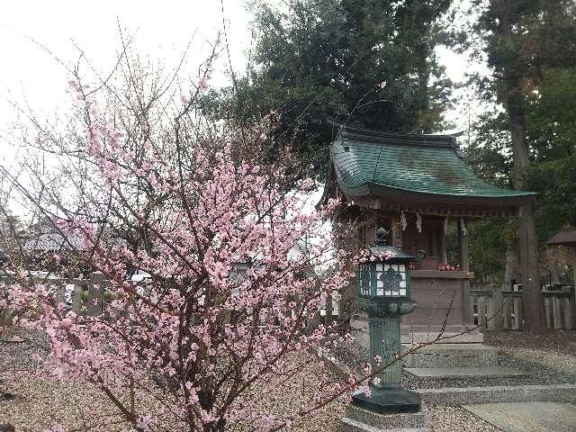 天満神社(多賀大社境内)の参拝記録6