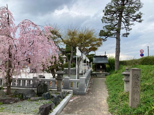 敷島神社（山形県護国神社）の参拝記録6
