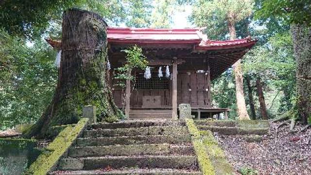 栃木県下都賀郡壬生町壬生甲 愛宕神社の写真1
