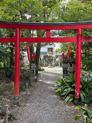 玉三稲荷神社の参拝記録(二代目無宿さん)