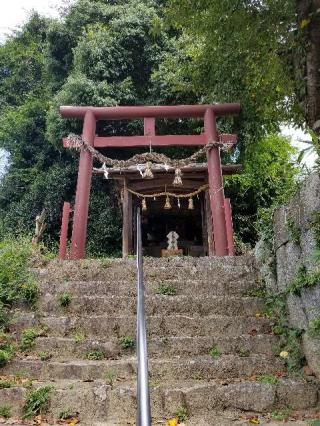 平野神社の参拝記録(さすらいきゃんぱぁさん)