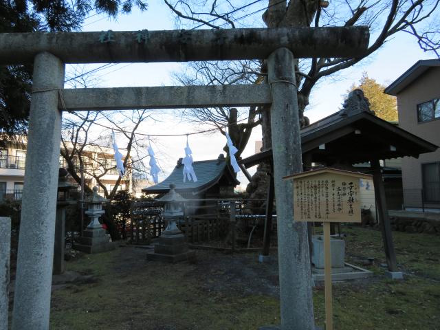 長野県茅野市宮川 子安神社の写真1