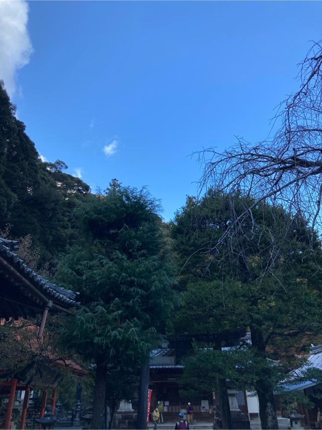 瀧安堂　弁財天堂の参拝記録3