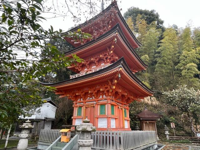 宝厳寺　三重塔の参拝記録6