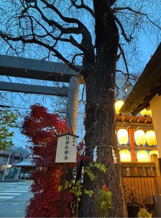 弁財天社（築地・波除神社摂社）の参拝記録(マ　ノ　さん)