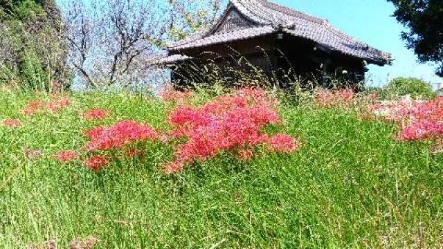 菅原神社の参拝記録3