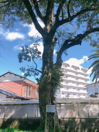 多賀神社の参拝記録( 14th moonさん)