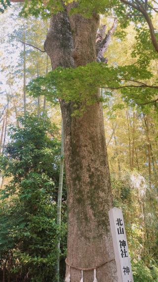 北山神社の参拝記録( 14th moonさん)