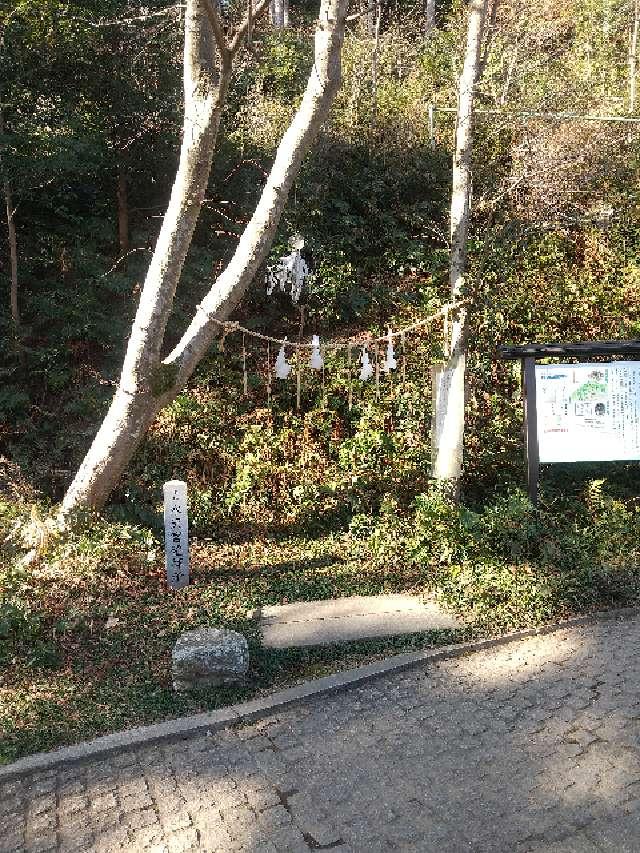 埼玉県日高市新堀833番地 水天宮（高麗神社末社）の写真16