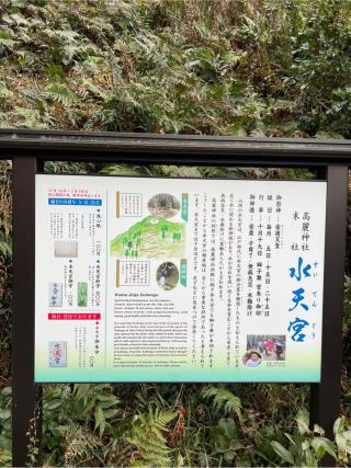 水天宮（高麗神社末社）の参拝記録(⛩️🐍🐢まめ🐢🐍⛩️さん)