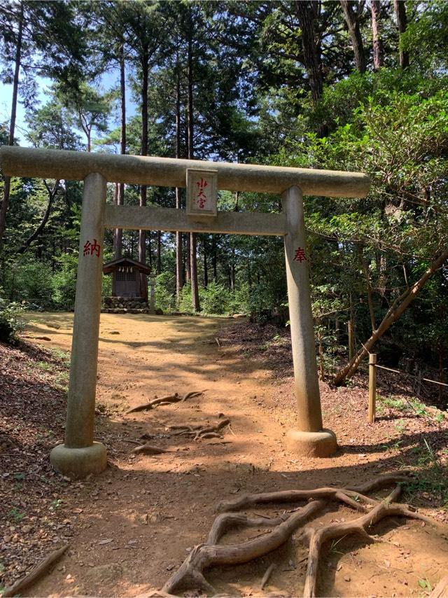 水天宮（高麗神社末社）の参拝記録8