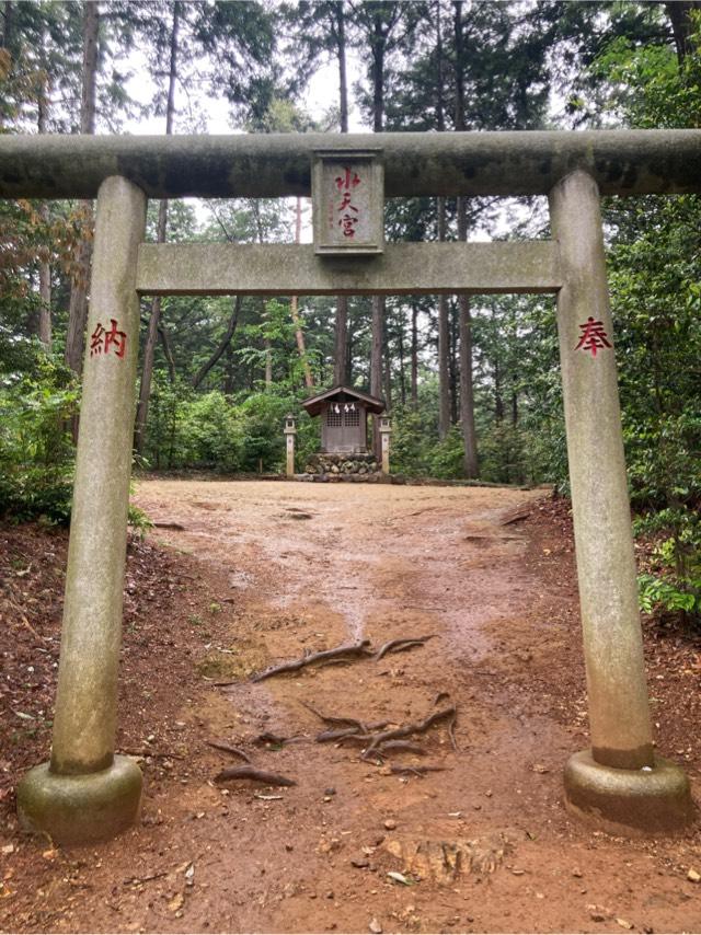 水天宮（高麗神社末社）の参拝記録6