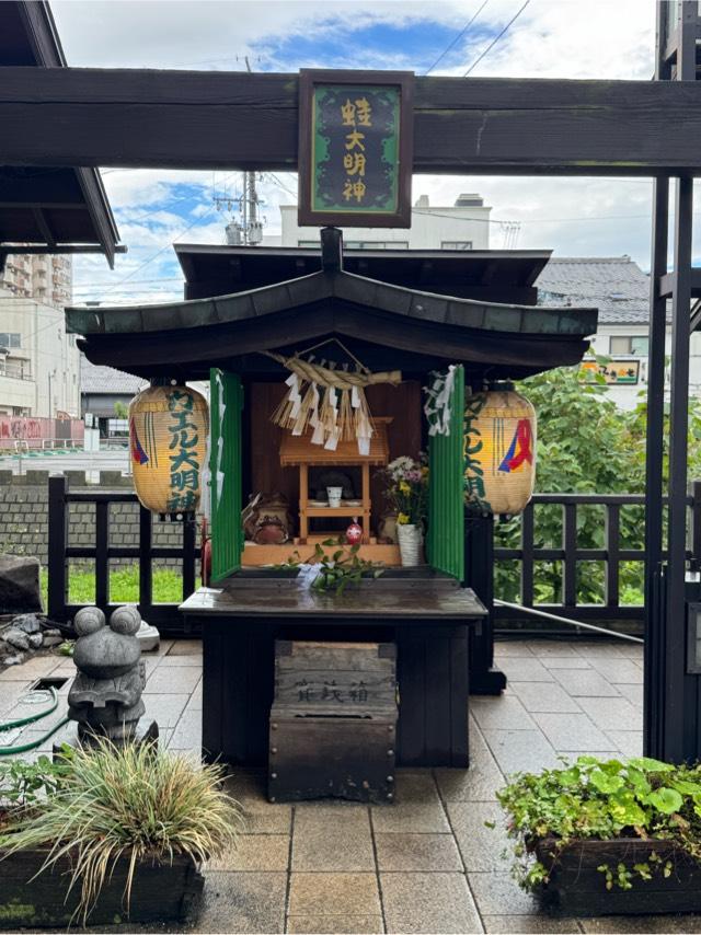 蛙大明神の参拝記録3