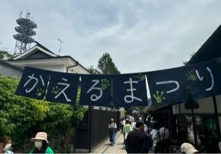 蛙大明神の参拝記録(竜胆の花さん)
